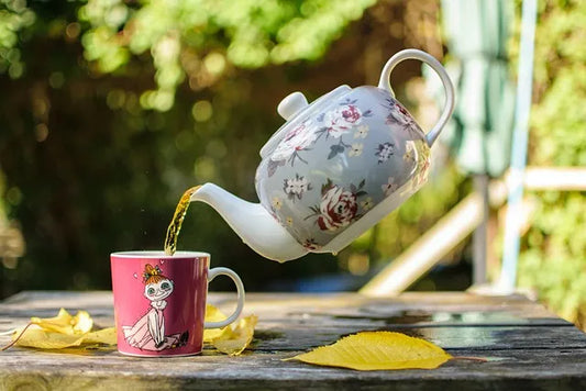 Glass vs Ceramic Teapots: Which One Should You Buy?